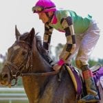Fasig-Tipton Mixed offering “quality opportunities”