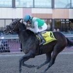 HISA cites record-low rate of equine fatalities