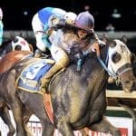 Budding stars deliver on WVBC undercard