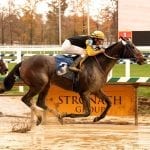 Motion back for 16th straight Breeders’ Cup
