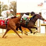 Talk Show Man, two-time Maryland Million winner, retired