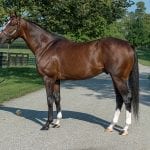 Mid-Atlantic racing roundup, October 30
