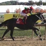 Millionaire Firenze Fire hopes to heat up General George