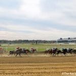 Colonial Downs runners headed to Breeders’ Cup