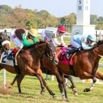 Renaissance in racing: VRC lauds Colonial Downs season