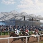 No Sabe Nada, Intrepid Daydream score in Del-certified races