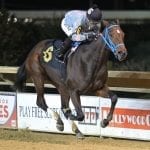 Penguin Power installed as solid A Huevo favorite