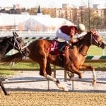 B’s Wild Cork looks to double up in My Sister Pearl