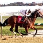 Genaro: Breeders’ Cup shows sport I love – and hate