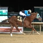 Genaro: Breeders’ Cup shows sport I love – and hate