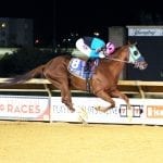 NJ whip rules leave jockeys hoping for “happy medium”