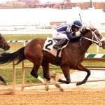 Hello Beautiful targets second Laurel stakes win