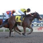 Jockeys’ Guild proposes revised whip rules