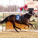 Which Maryland trainers are nearing career milestones?
