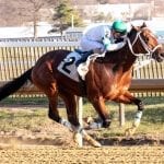 Seventh annual owners’ conference set for July
