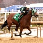 Hello Beautiful targets second Laurel stakes win
