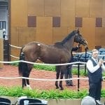 Mid-Atlantic racing roundup, December 11