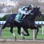 Off to the Races radio: 2 more weeks off