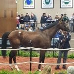 Jockey Club Round Table set for Sunday