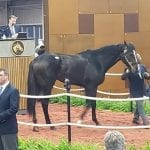 Mid-Atlantic racing roundup, December 11