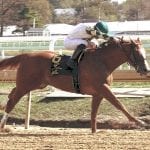 US House extends racehorse tax break