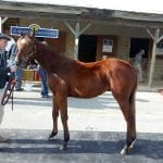 Best of 2019: Interview with Ron Turcotte