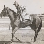 Hoppertunity sires first foal