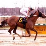 Best of 2019: Ghosts of Racetracks Past