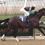 Five questions for this week’s Midlantic stakes