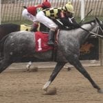 G1-placed Big City Bob heads Private Terms field