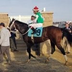 New Maryland riding crop rules paying quick dividends
