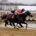 On Breeding: Midlantic sire stats