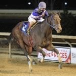 Pimlico legislation: Questions and Answers