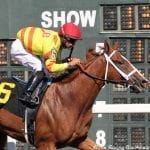 Alwaysmining heads stakes-quality Laurel feature