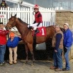 On Breeding: British Idiom goes the distance