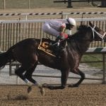 Lebda, Naughty Thoughts post upset scores in Laurel stakes