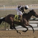 Unbeaten Jaxon Traveler heads Md. Futurity