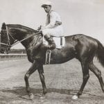 Wells Bayou enters NTRA Top Thoroughbred Poll