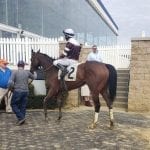 Lebda dazzles in Private Terms triumph
