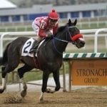 Hypothesis, Boundtobebad headline weekend CT stakes