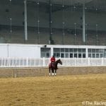 Local Motive back for Maryland Juvenile