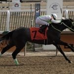 Baffert hoping Authentic the real deal in Haskell