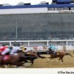 Fulmineo carrying Maryland Breeders’ Cup hopes