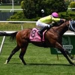 Midnight Bisou seizes NTRA Top Thoroughbred Poll