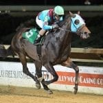 Stakes winners Lebda, Princess Cadey staying home