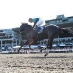 Hello Beautiful possibly graded stakes-bound
