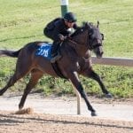 Breen among early faves for Monmouth title