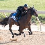 Fasig-Tipton: Midlantic-breds top first session