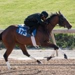 Breen among early faves for Monmouth title