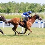 Pinhook Diary: Starting to get real